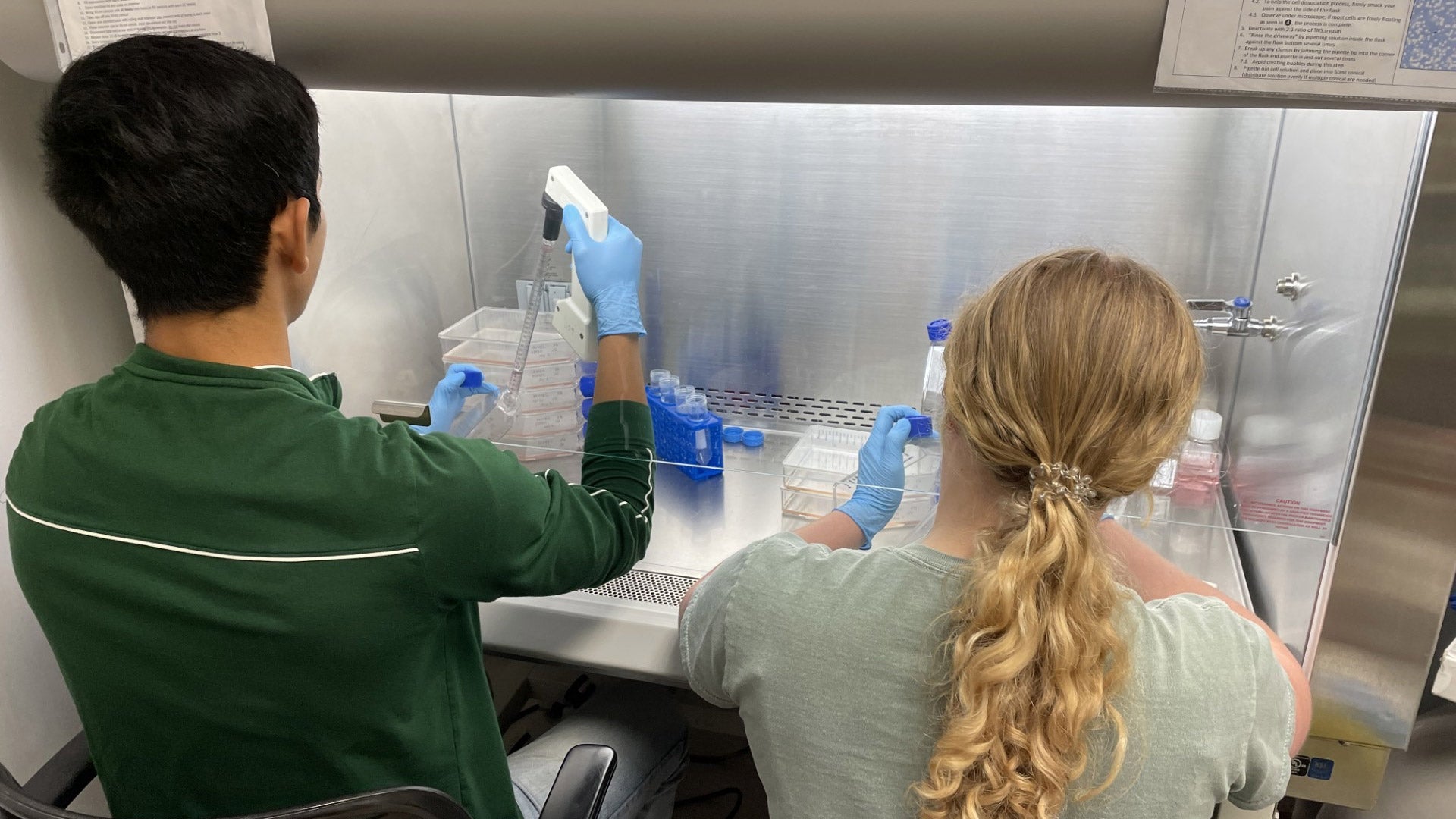 students working with samples in the biomedical engineering tissue lab