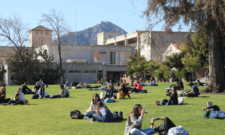 People sitting on a grassy lawn