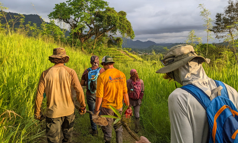 Sustainable Bamboo Construction & Engineering Opportunity