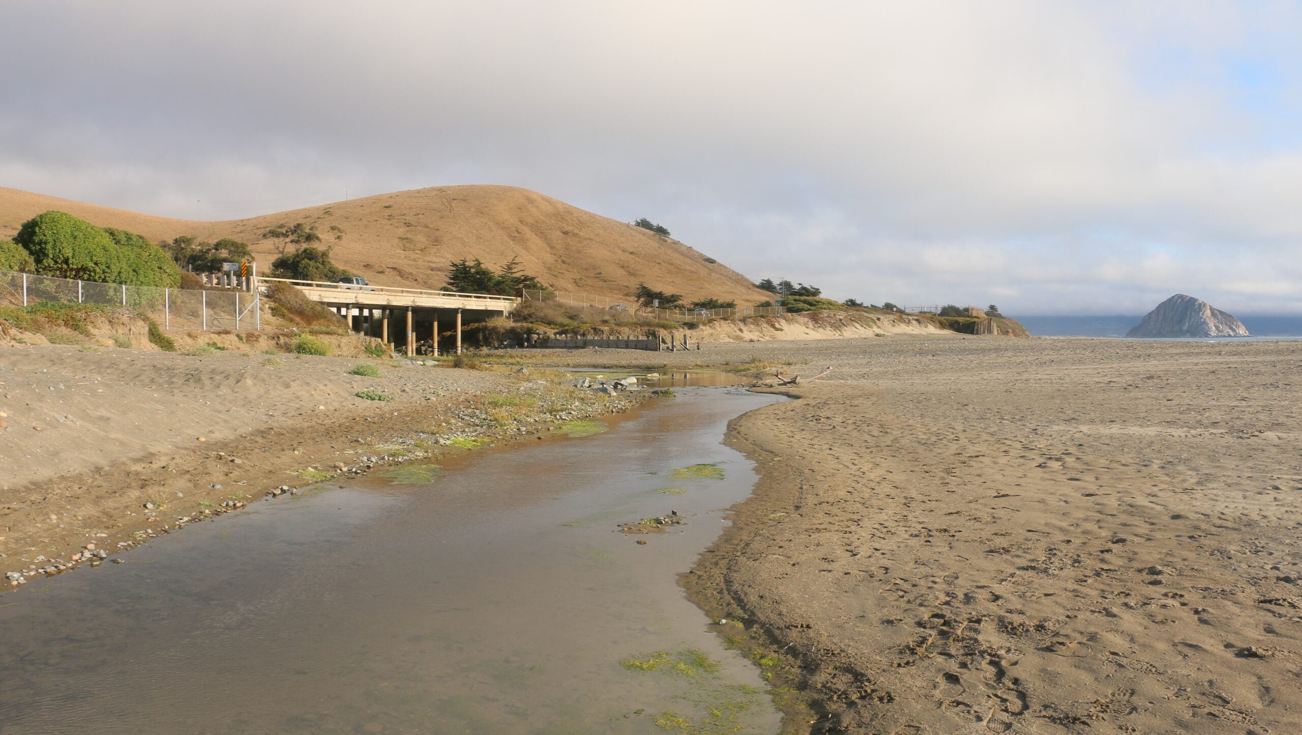 Scenic shot of Toro Creek Bridge