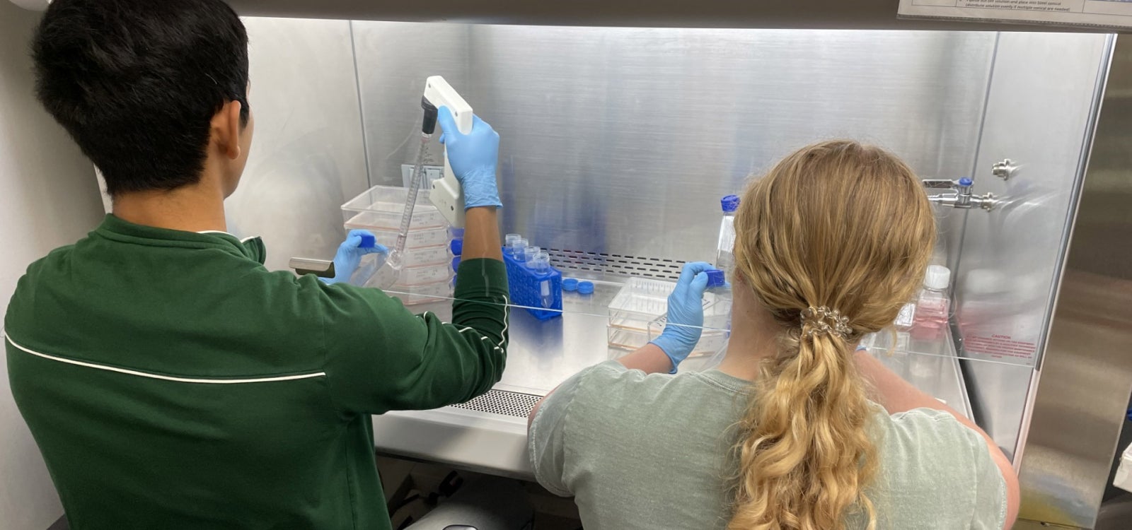 students working with samples in the biomedical engineering tissue lab