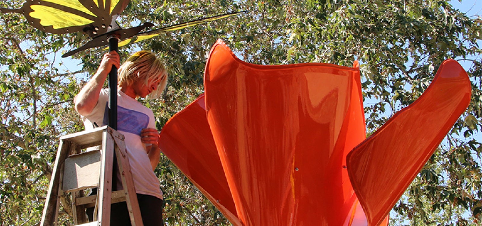Student installs poppy sculpture in the Botanical Garden