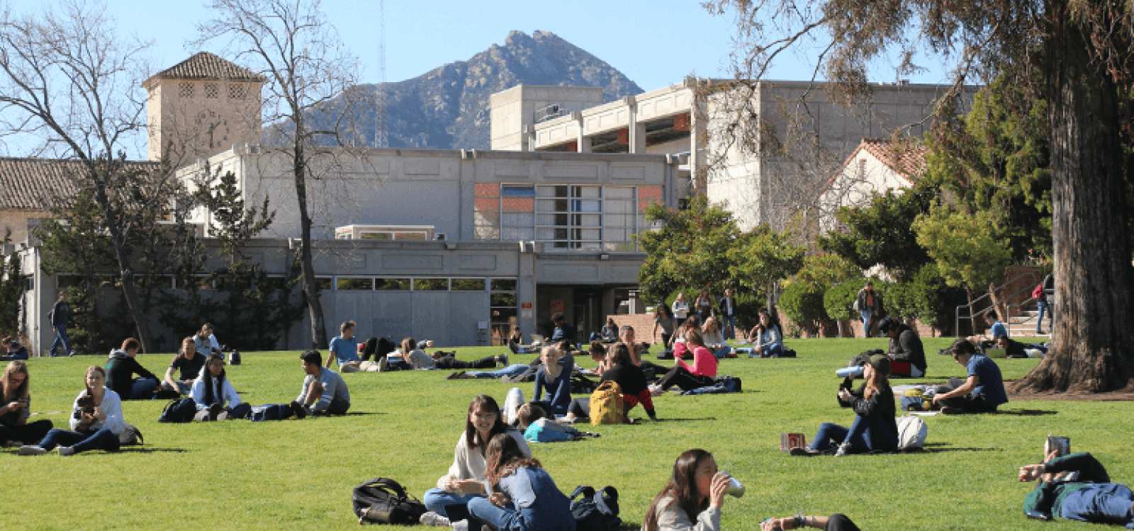 People sitting on a grassy lawn