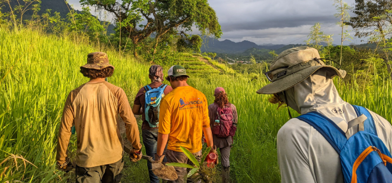Sustainable Bamboo Construction & Engineering Opportunity