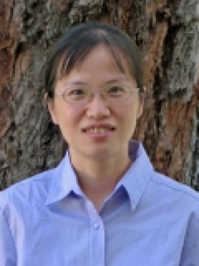 Xiaomin Jin Professor Electrical Engineering