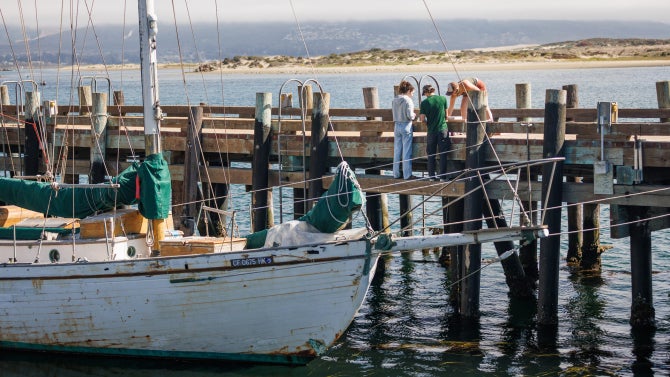 Engineering students in the SURP (summer undergraduate research project) program with associate professor Stefan Talke, civil and environmental engineering, as well as other engineering students deploy tide and wave gauges on one of the piers in Morro Bay.