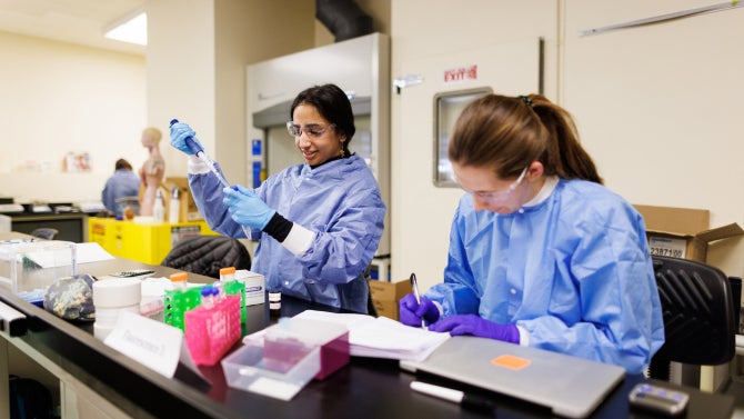 biomed students working in a lab