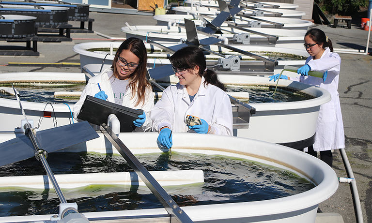 Three women working at Algae Research Facility