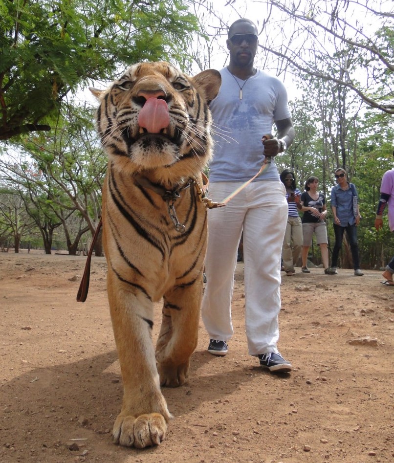 Karl Ivory's career has allowed him to travel the world, visiting places like Thailand, where he walked a tiger.