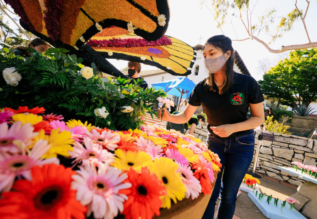 The Cal Poly Rose Float team puts the final touches on the “Spring Wings” art installation in Mission Plaza. The installation helped to showcase the process behind building a Rose Float design. Photo by Joe Johnston/University Photographer/Cal Poly 5-22-21