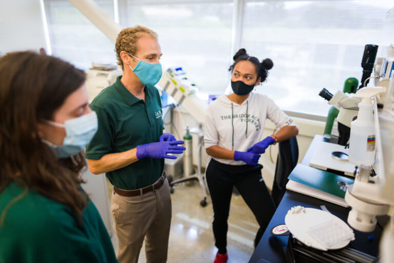 Summer Undergraduate Research Program students Tori Barrington and Rayana Gutierrez work with biomedical engineering professor Trevor R. Cardinal on investigating skeletal muscle progenitor cells as a potential therapeutic candidate for peripheral artery disease. Photo by Joe Johnston, University Photographer