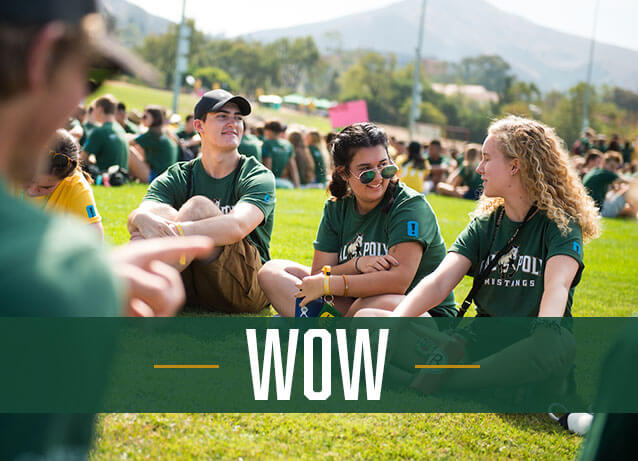 A gathering of newly-admitted Cal Poly students wearing Cal Poly athletics logo apparel while enjoying a relaxing day on the lawn. A "WoW" text banner overlays the image