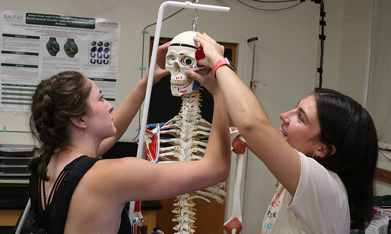 Two students work in classroom on skeleton