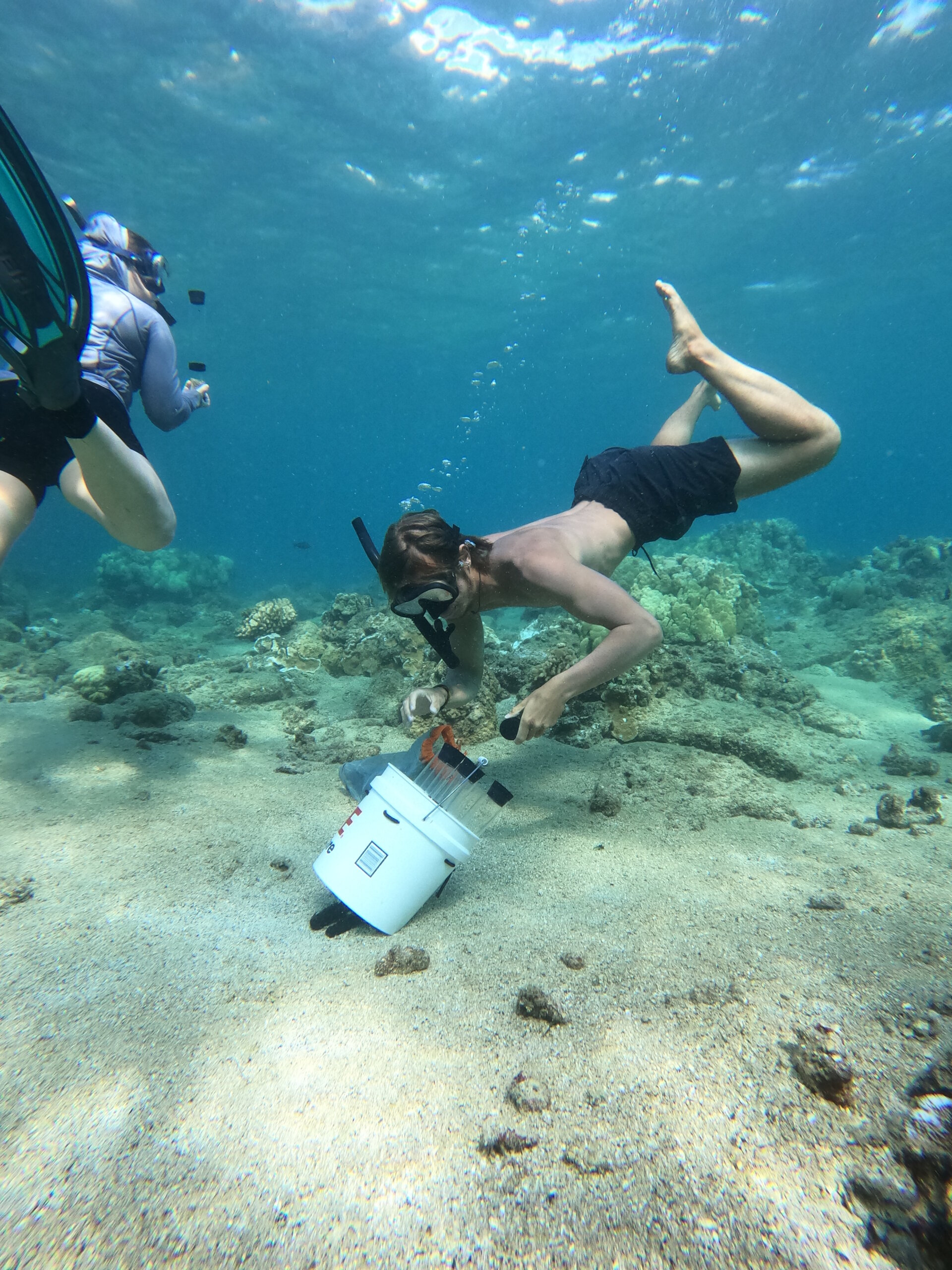 Cal Poly student dives underwater in Hawaii to collect samples from the ocean floor