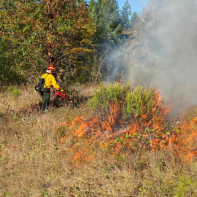 Firefighter conducts a prescribed burn