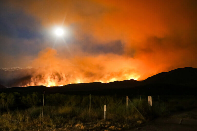 A wildland fire blazes in the distance