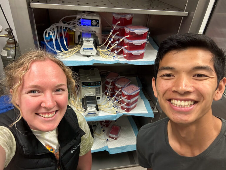 Students stand in front of blood vessel mimics in the Tissue Engineering Lab