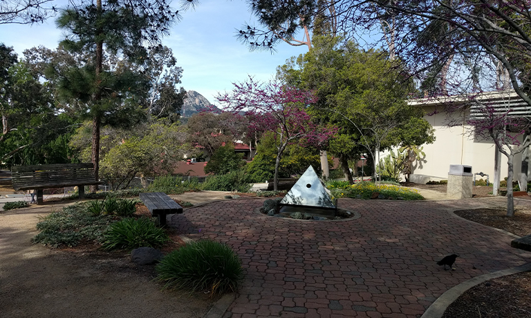 Trees surrounding a spot with benches on the Cal Poly campus.