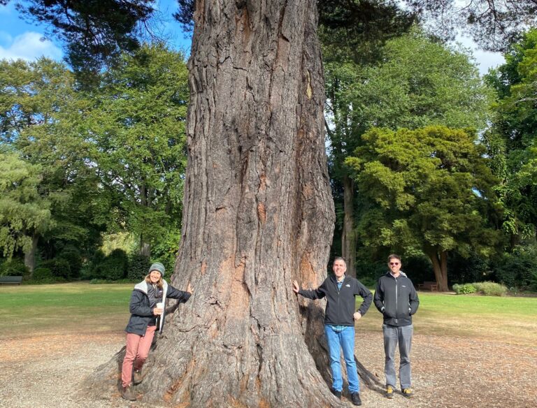 3 professors stand next to a huge tree in New Zealand