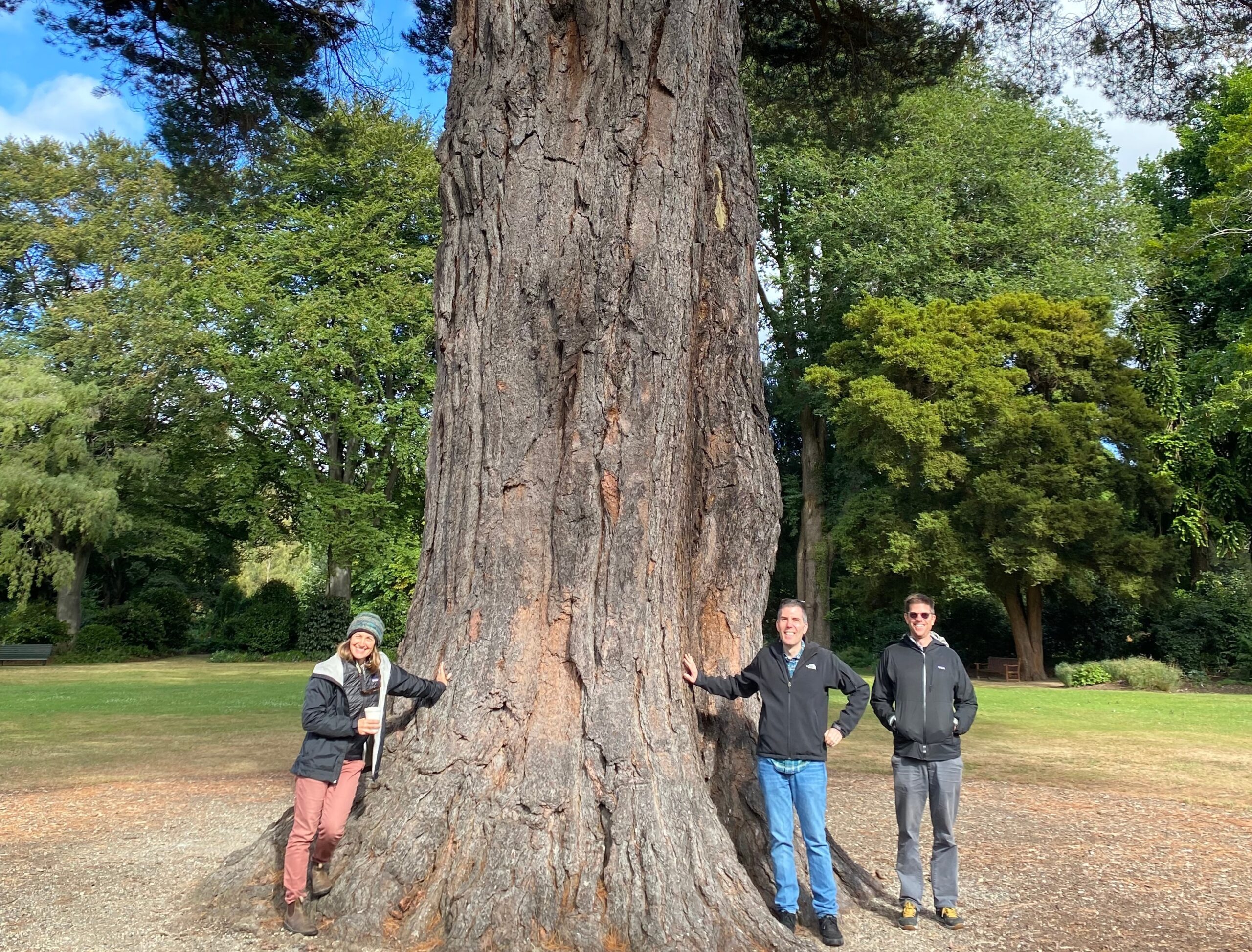 3 professors stand next to a huge tree in New Zealand