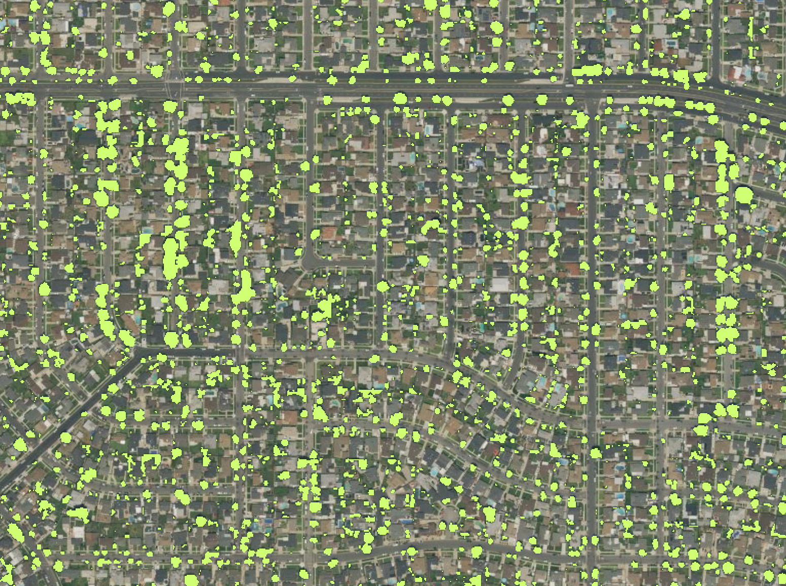 Graphic showing the output of Cal Poly's tree mapping model