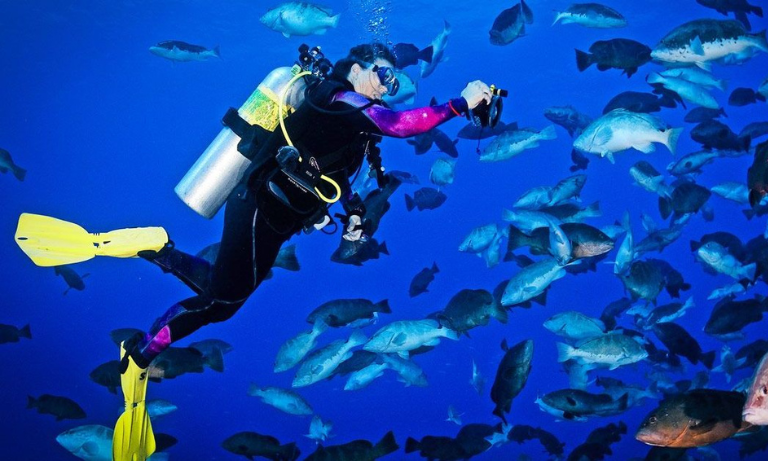 A person scuba diving surrounded by fish.