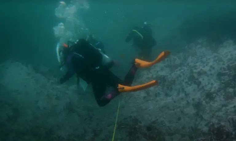 Two people scuba diving