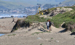 Professor does research work along the coastline
