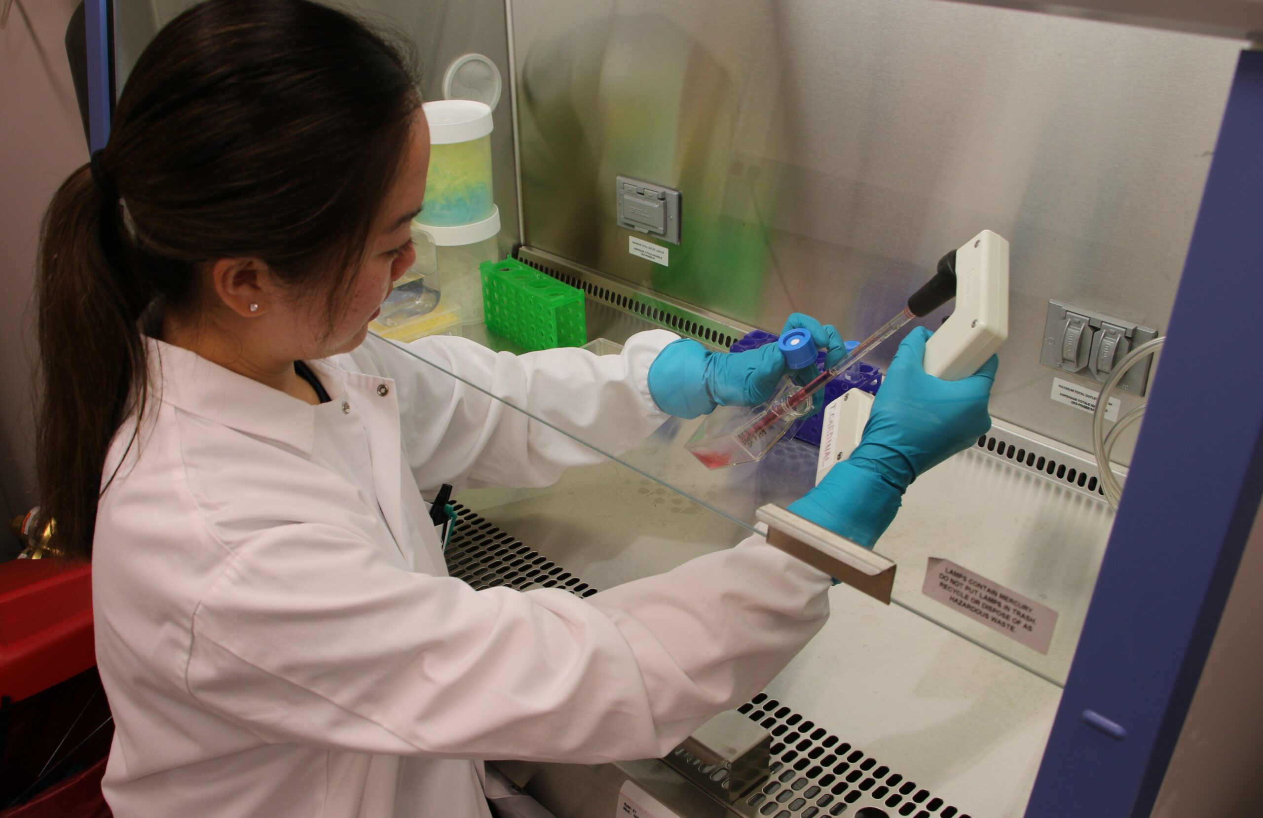 Student works with cells in a research lab