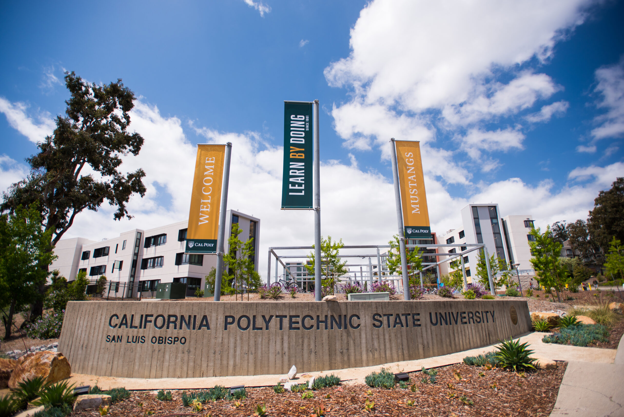 University signs