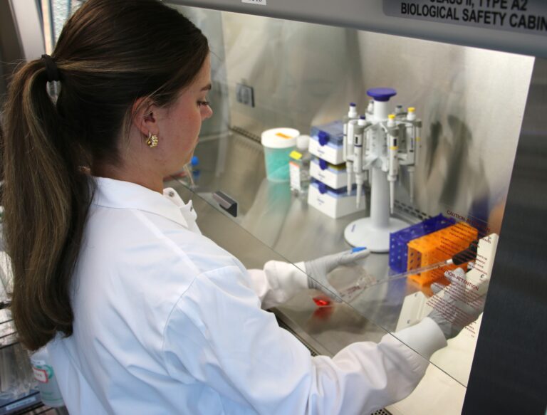 Student works in lab