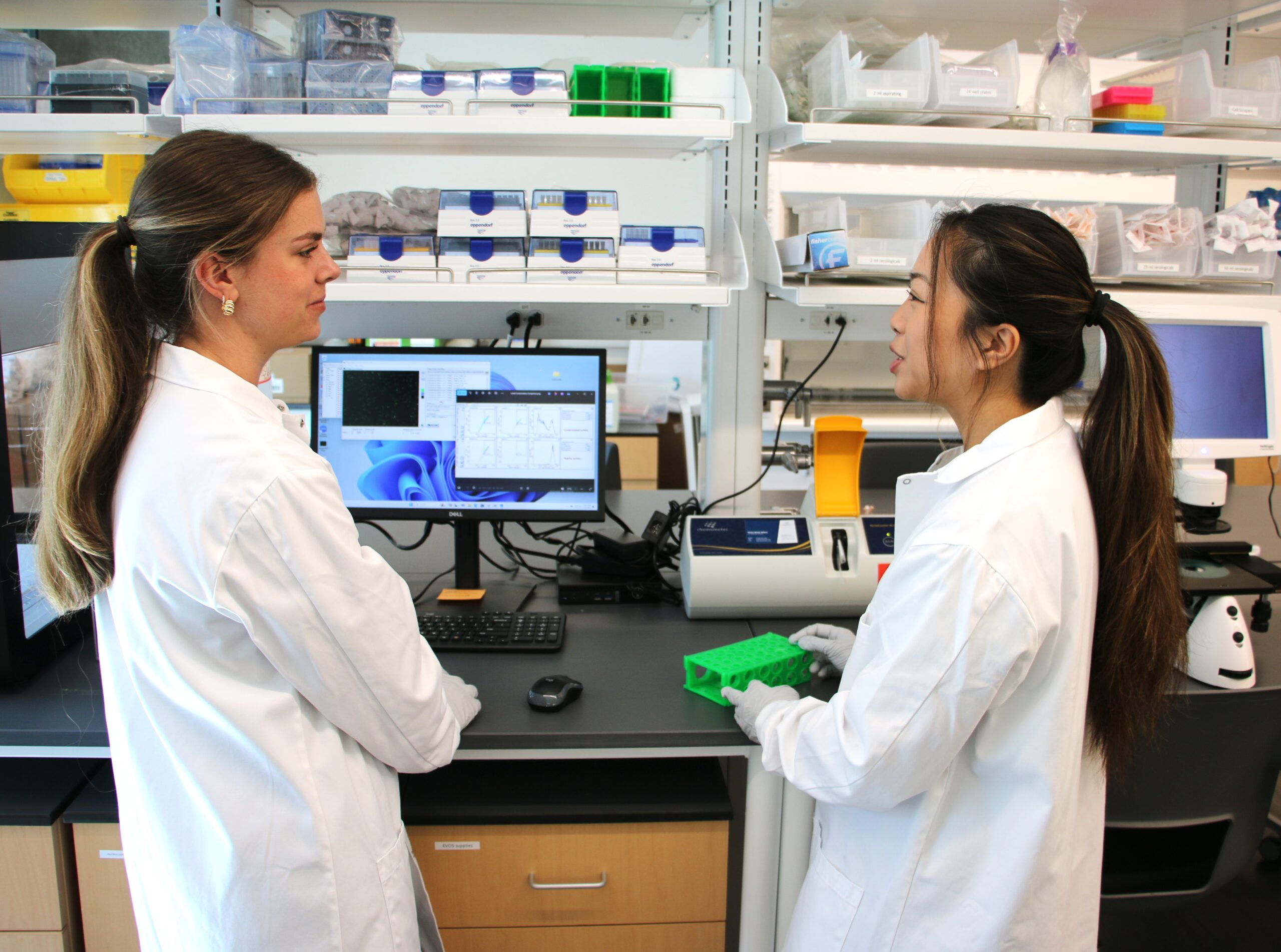 Students discuss their work in the lab