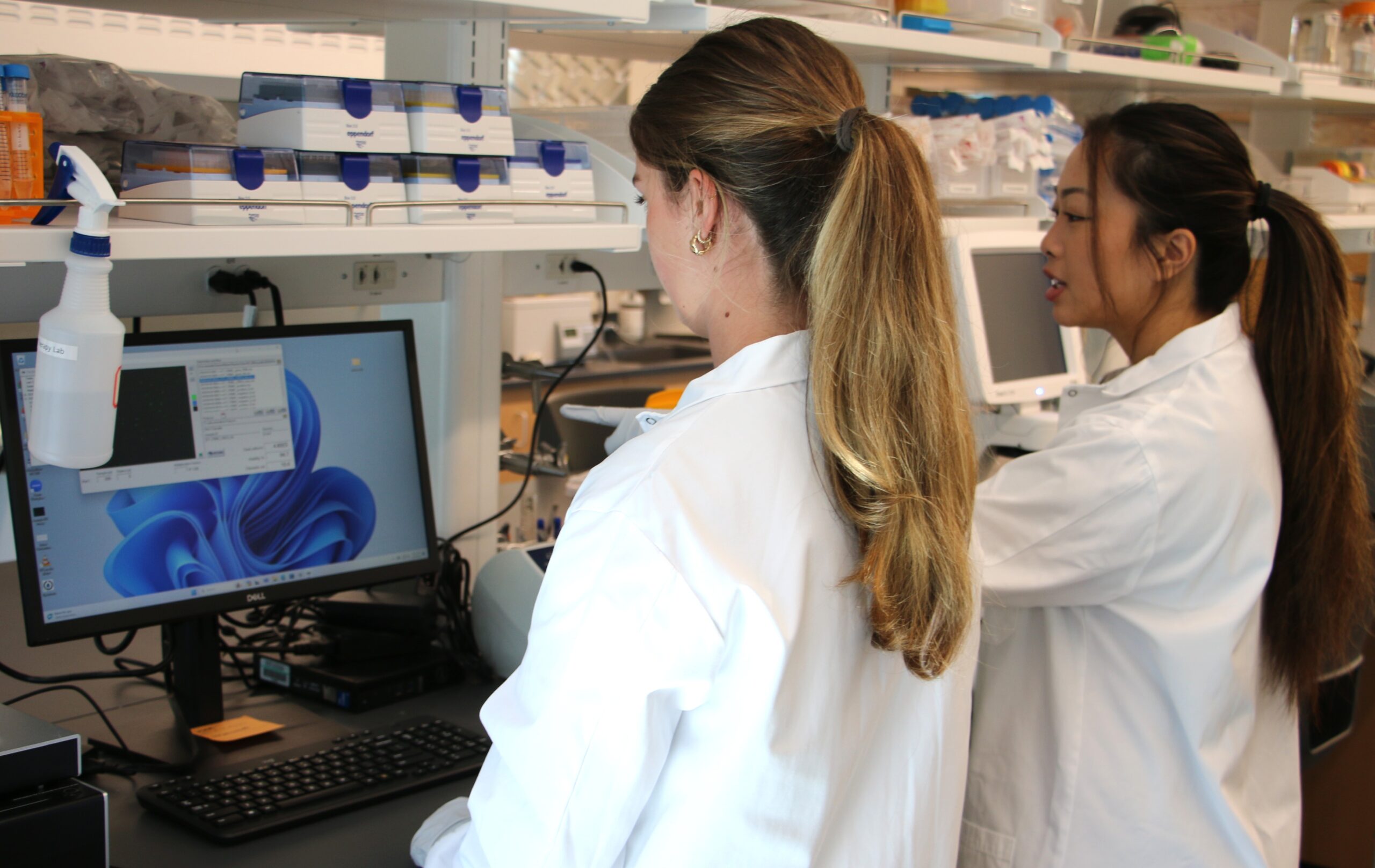 Students work together in the lab