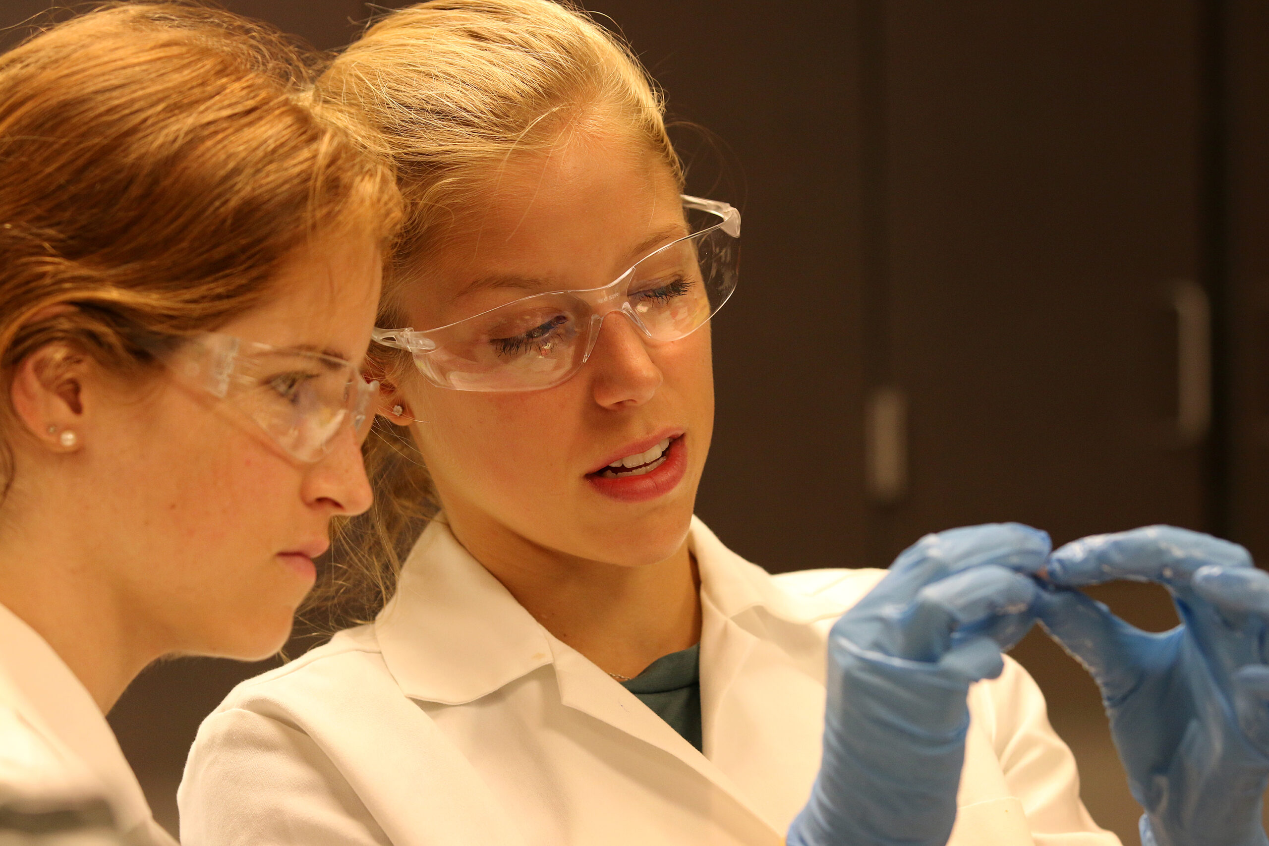 Students work in the lab