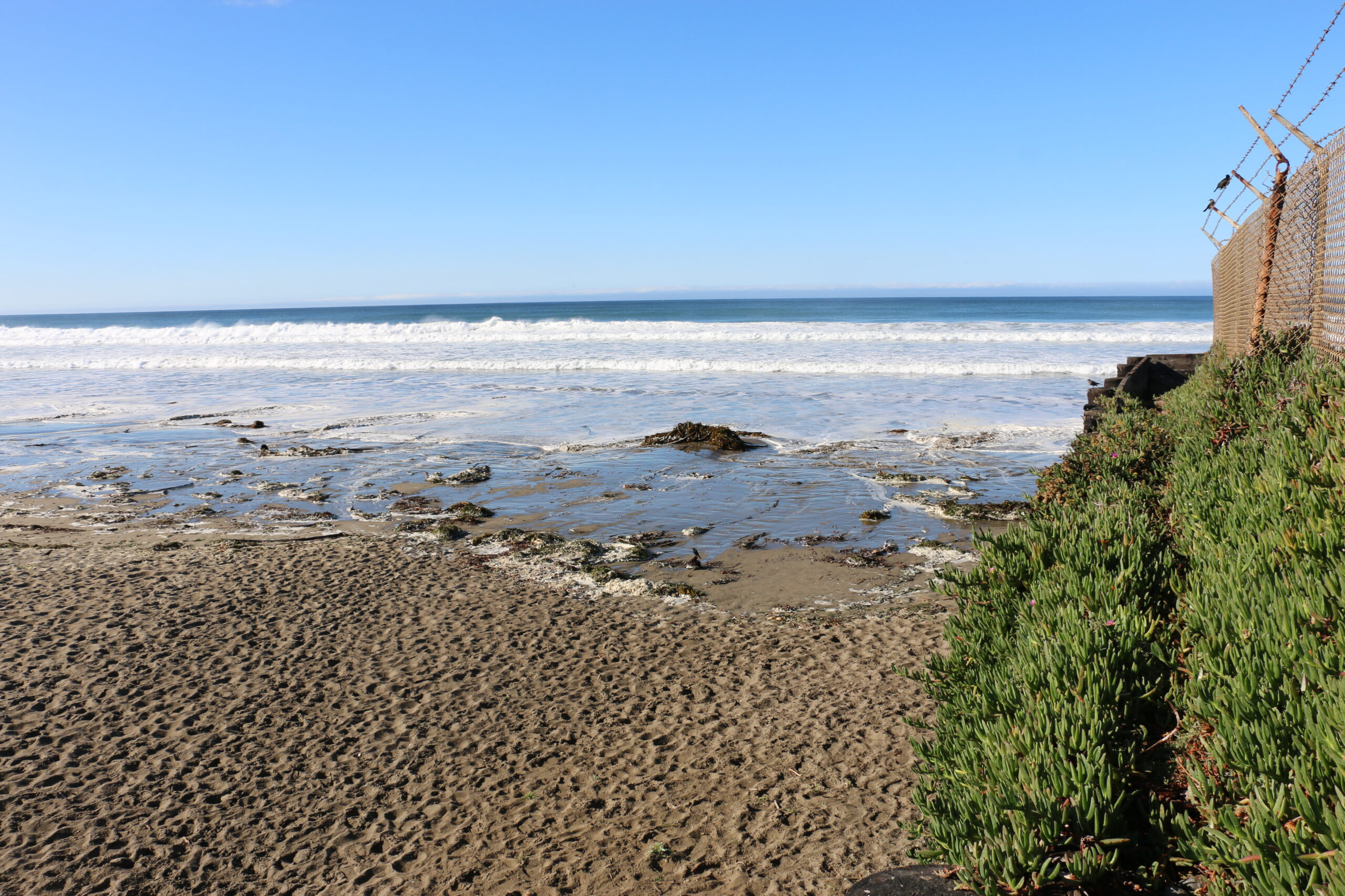 Waves from the king tide reach the shoreline in Morro Bay